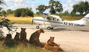 6 Days Fly-In Fly-Out Mara River Migration Safari